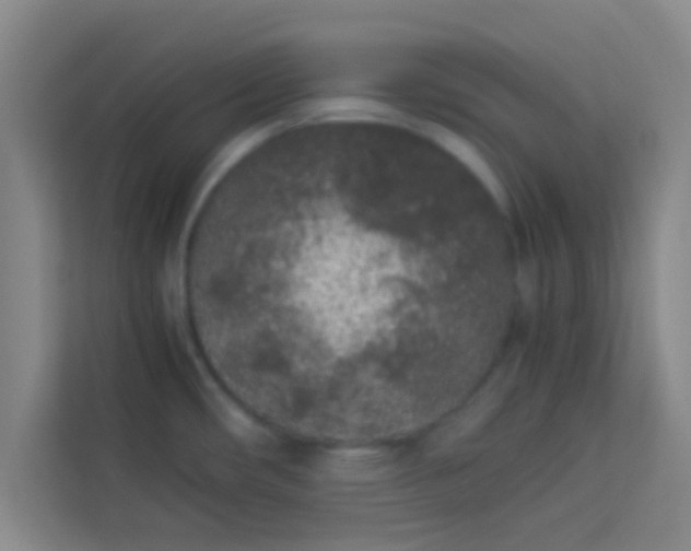 X0000113931482200910091552