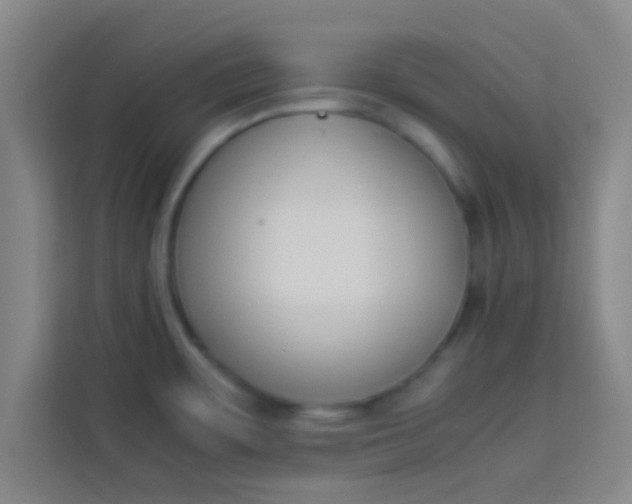 X0000113931483200910091552