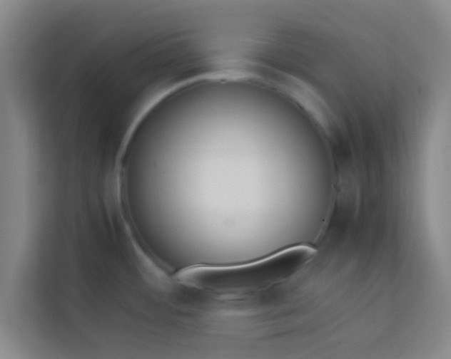 X0000113931484200910091552