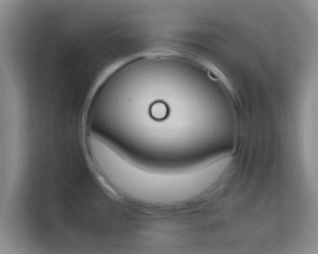 X0000113931485200910091552