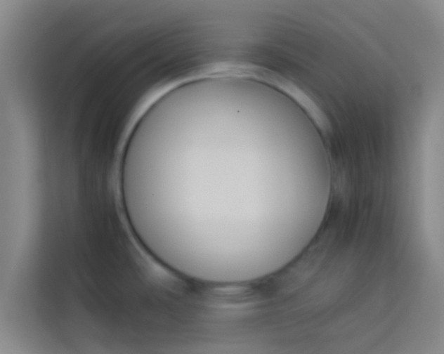 X0000113931486200910091552