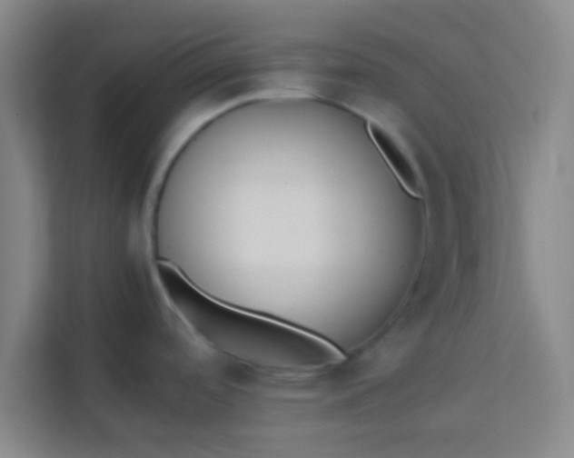 X0000113931488200910091552