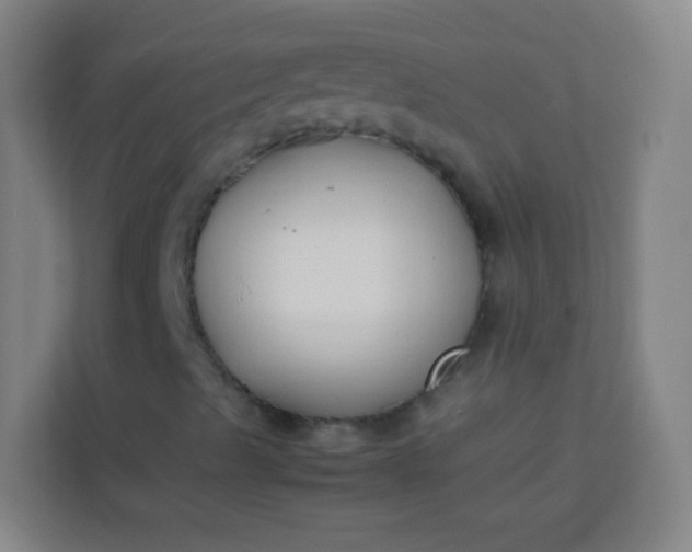 X0000113931489200910091551