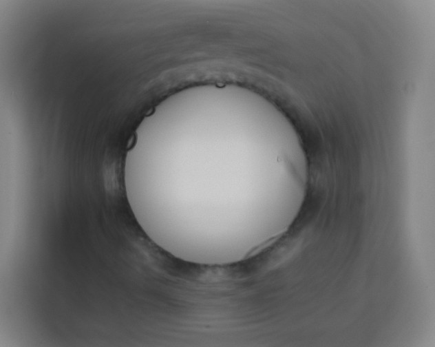 X0000113931490200910091551