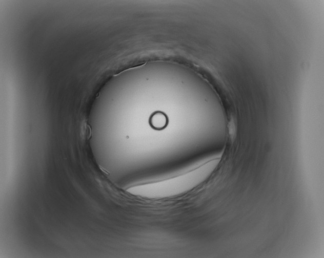 X0000113931492200910091551