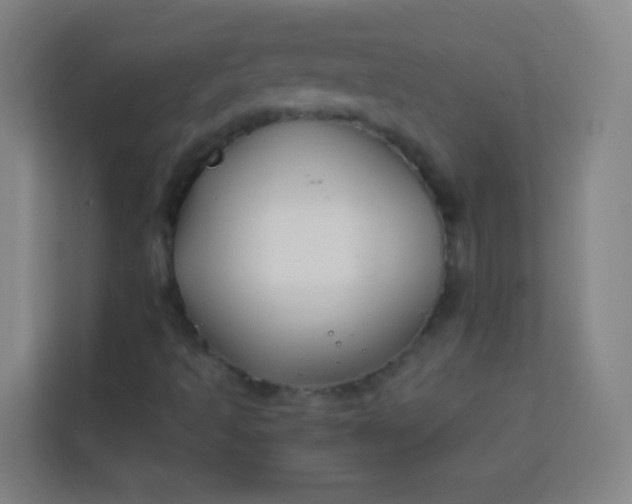 X0000113931493200910091551