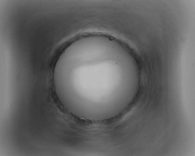 X0000113931494200910091551