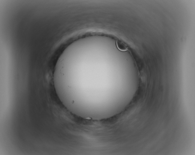 X0000113931495200910091551