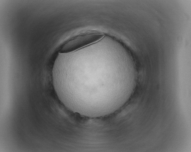 X0000113931496200910091551