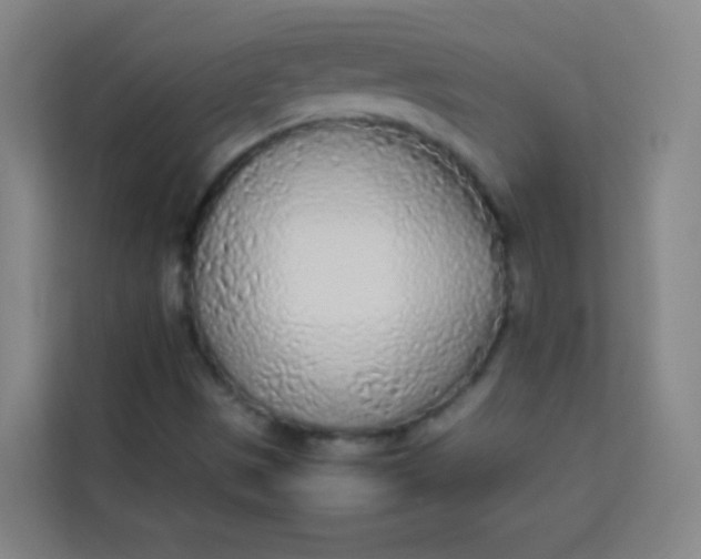 X0000113931497200910091551