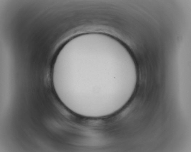 X0000113931498200910091551