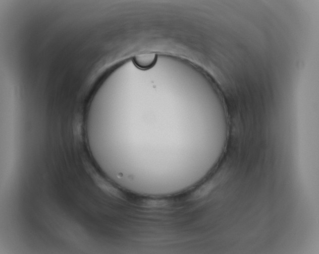 X0000113931499200910091551