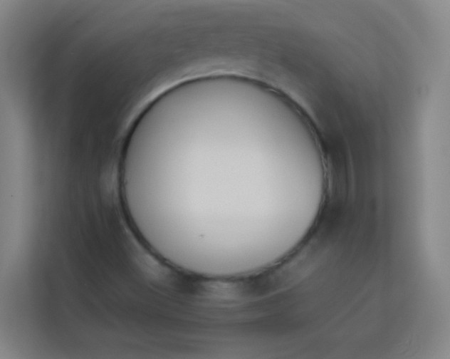 X0000113931500200910091551