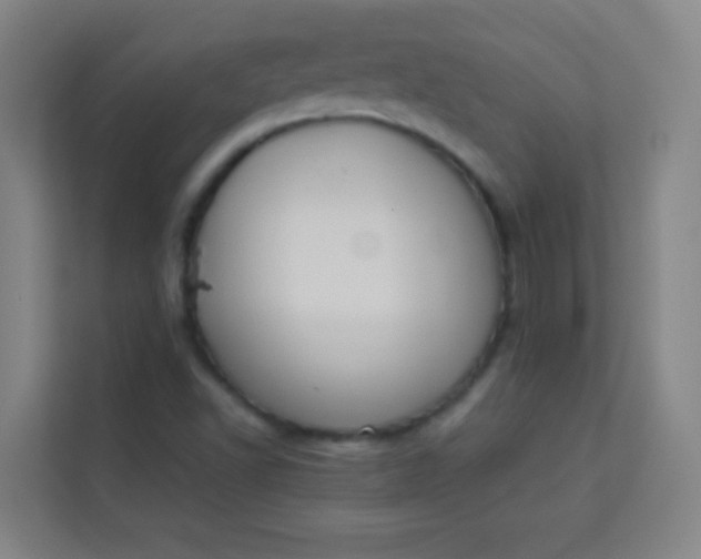 X0000113931502200910091551