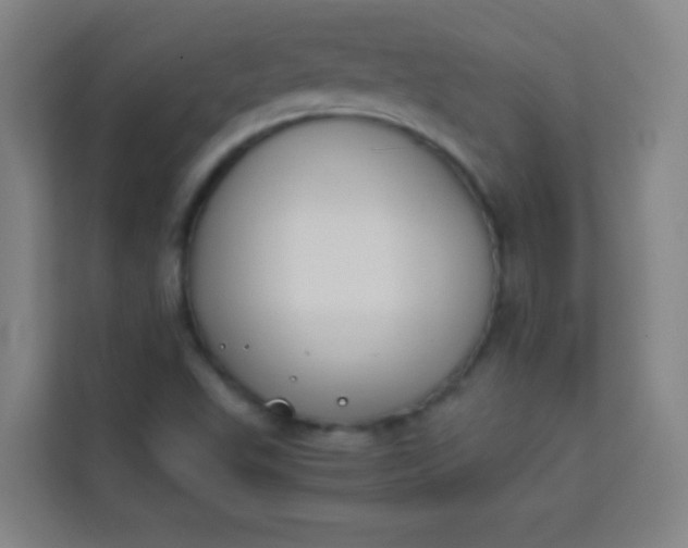 X0000113931503200910091551