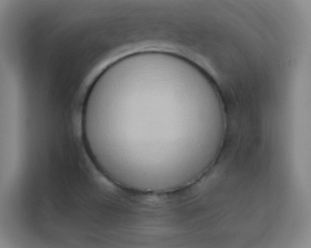 X0000113931504200910091551