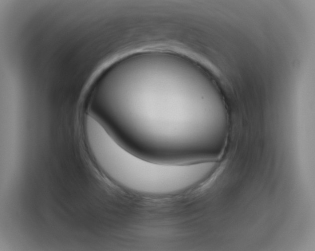 X0000113931506200910091551