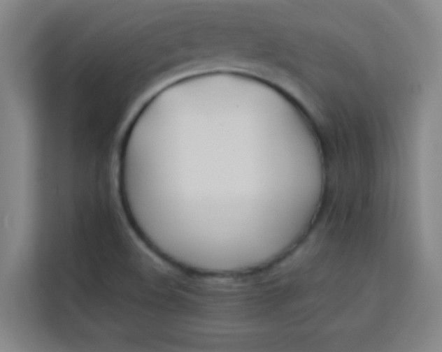 X0000113931508200910091551