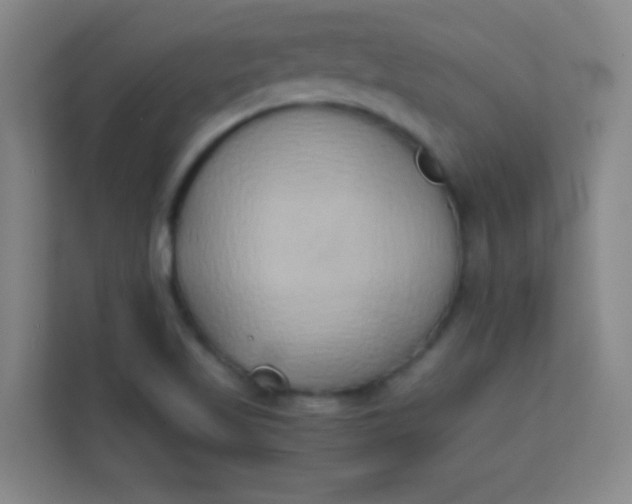 X0000113931509200910091551