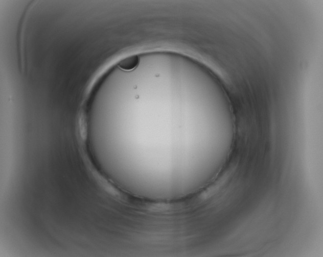 X0000113931510200910091551