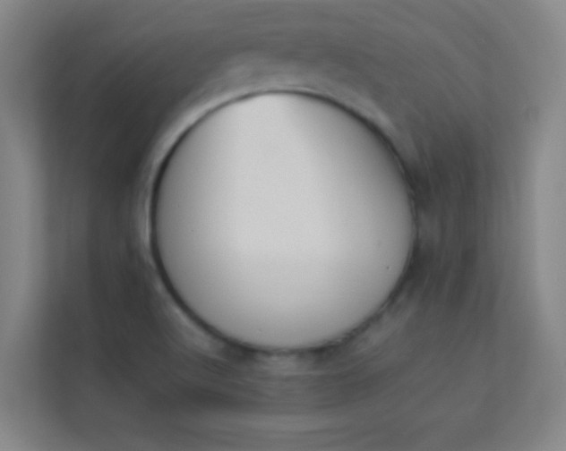 X0000113931512200910091551