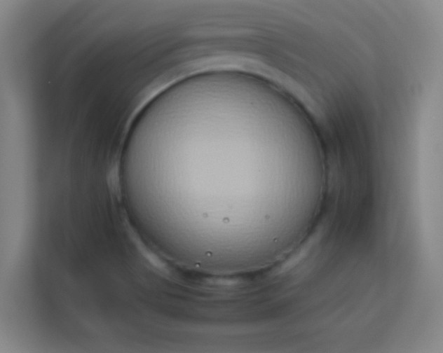 X0000113931513200910091551