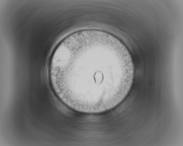 X0000113931514200910091551