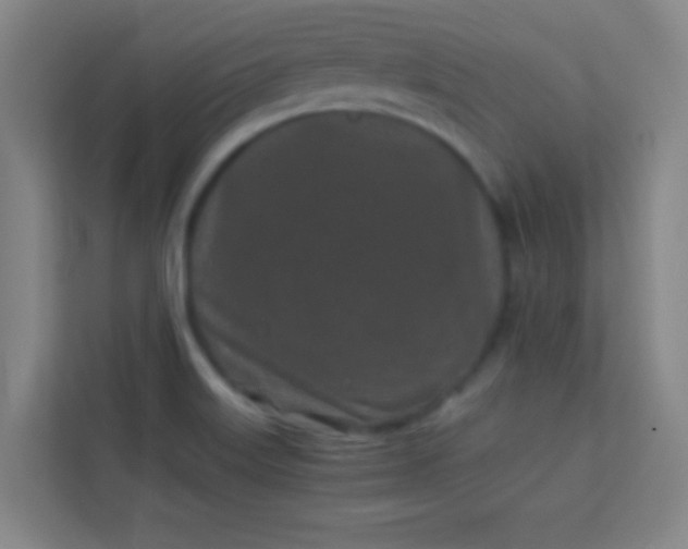 X0000113931515200910091551