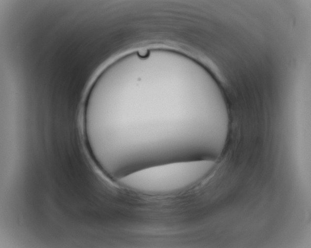 X0000113931516200910091551