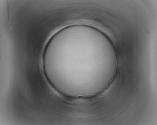 X0000113931517200910091551