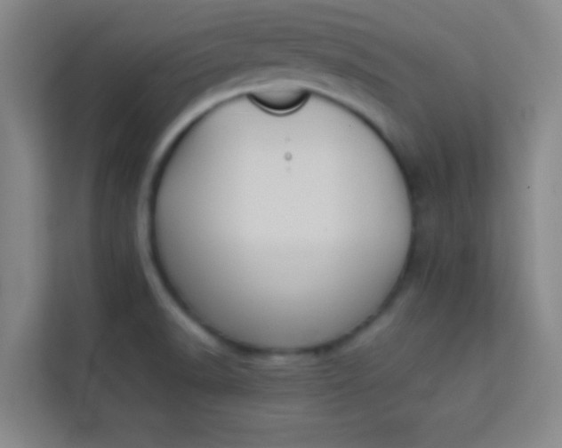 X0000113931518200910091551