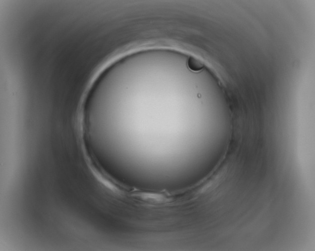 X0000113931519200910091551