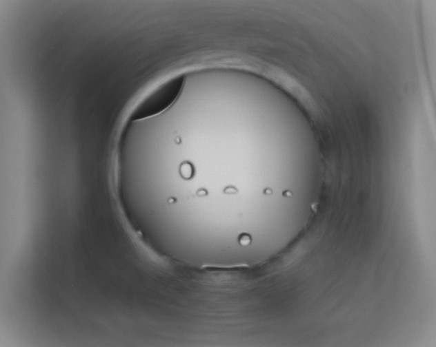 X0000113931520200910091551