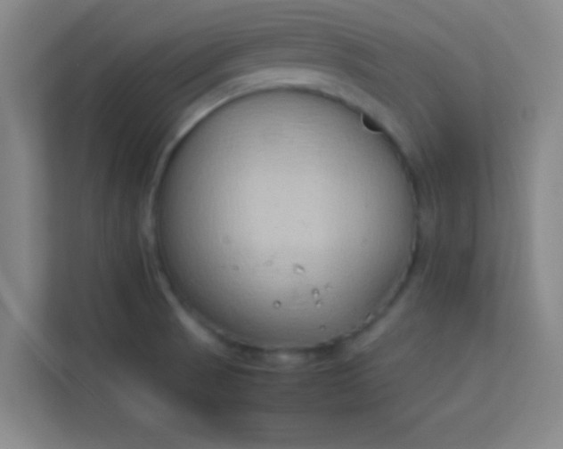 X0000113931521200910091551