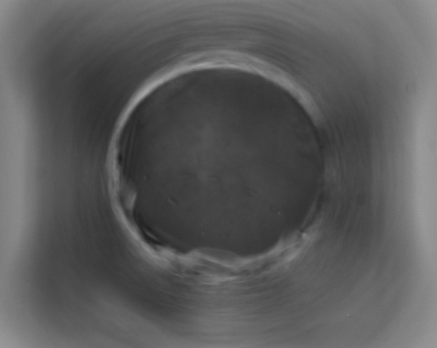 X0000113931522200910091551