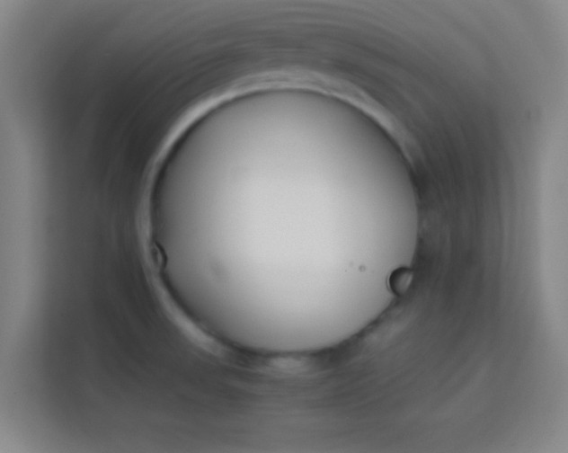 X0000113931523200910091551