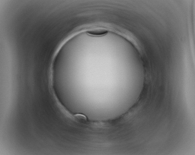 X0000113931524200910091551