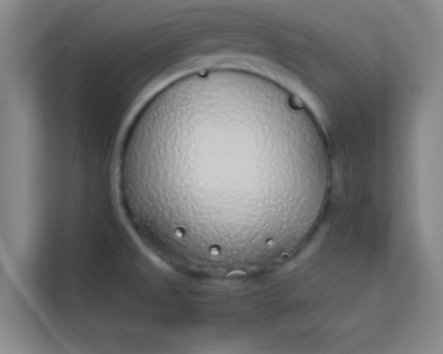 X0000113931525200910091551