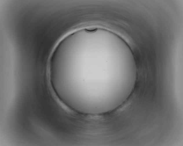 X0000113931526200910091551