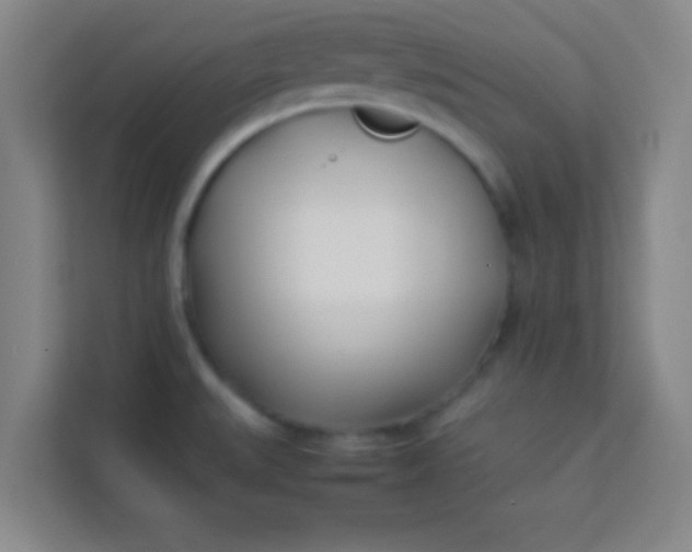 X0000113931527200910091551