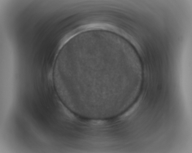 X0000113931529200910091551