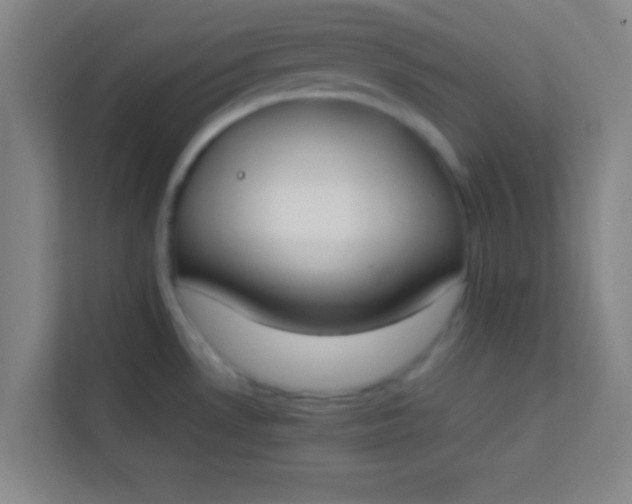 X0000113931530200910091551