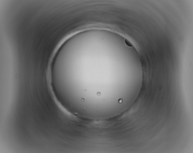 X0000113931531200910091551