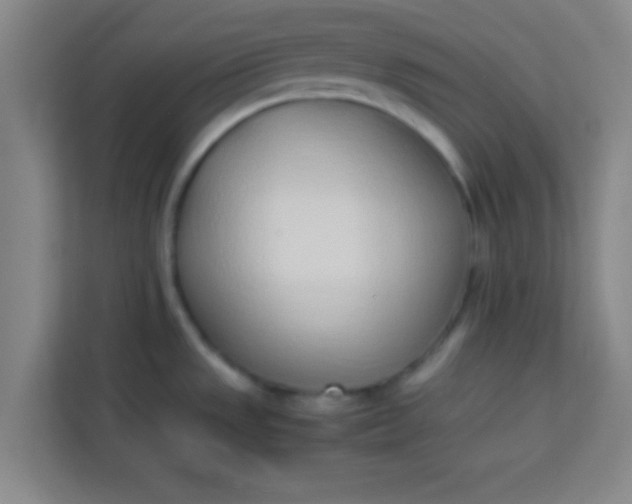 X0000113931533200910091552