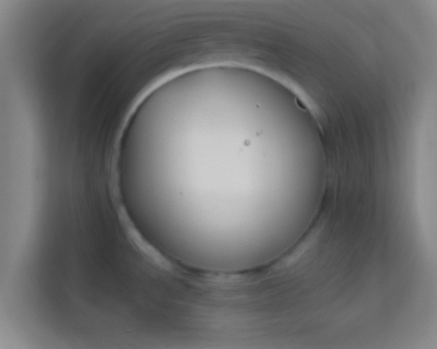 X0000113931534200910091552