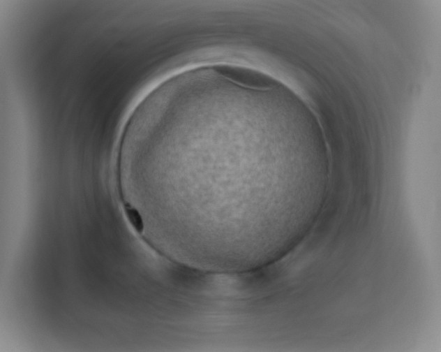 X0000113931536200910091552