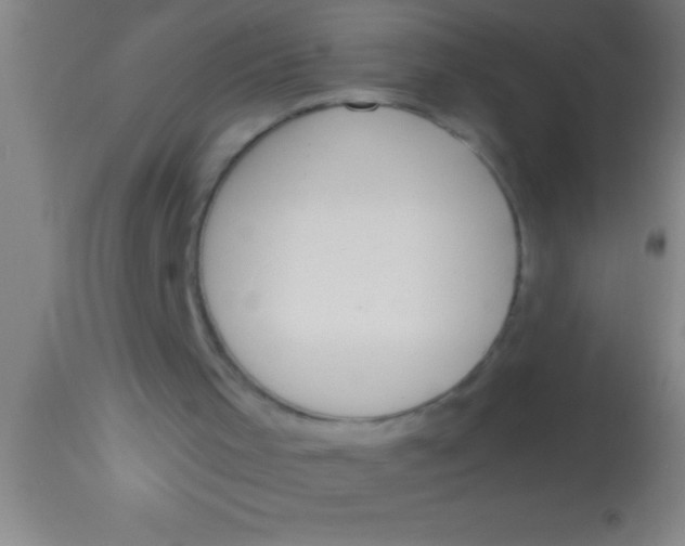 X0000113930001200910161902