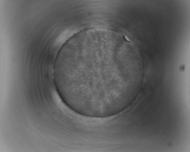 X0000113930002200910161902