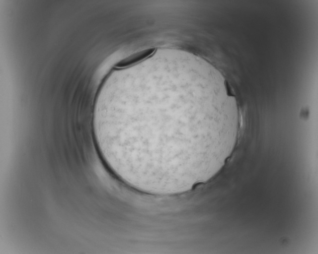 X0000113930003200910161902