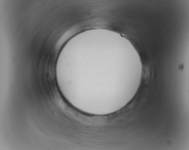 X0000113930004200910161902